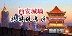 日本亚洲欧洲欧美天天操操操Aⅴ中国陕西-西安城墙旅游风景区